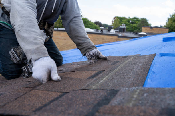 Best Gutter Installation and Roofing  in Crossville, TN